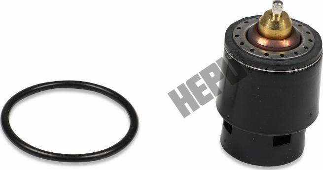 Hepu TM1241 - Thermostat d'eau cwaw.fr