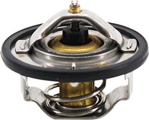 Hoffer 8192925 - Thermostat d'eau cwaw.fr