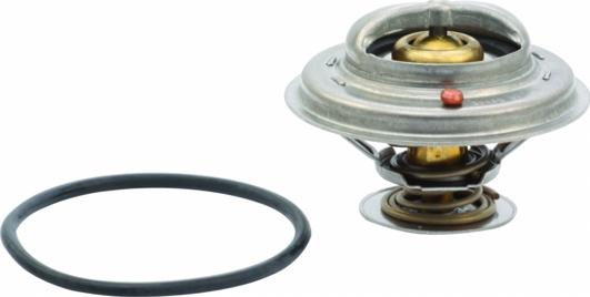 Hoffer 8192466 - Thermostat d'eau cwaw.fr