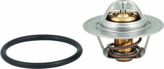 Hoffer 8192545 - Thermostat d'eau cwaw.fr