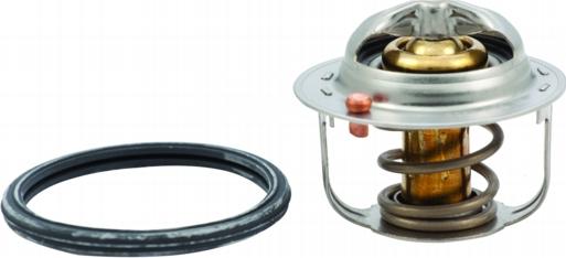 Hoffer 8192546 - Thermostat d'eau cwaw.fr