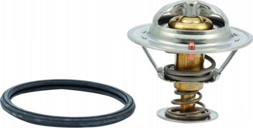 Hoffer 8192636 - Thermostat d'eau cwaw.fr