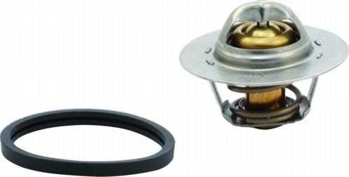 Hoffer 8192145 - Thermostat d'eau cwaw.fr