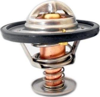 Hoffer 8192120 - Thermostat d'eau cwaw.fr