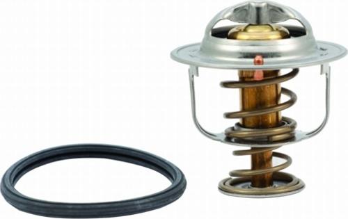 Hoffer 8192325 - Thermostat d'eau cwaw.fr