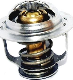 Hoffer 8192379 - Thermostat d'eau cwaw.fr