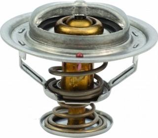 Hoffer 8192287 - Thermostat d'eau cwaw.fr