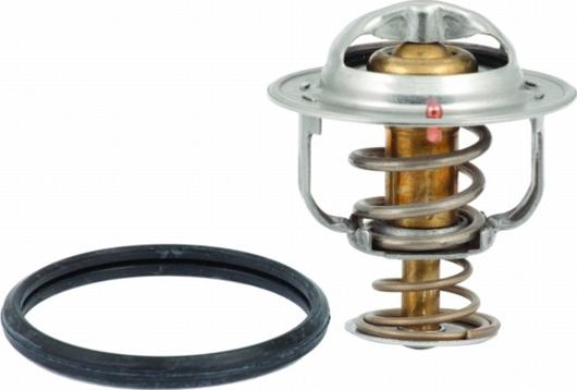 Hoffer 8192741 - Thermostat d'eau cwaw.fr