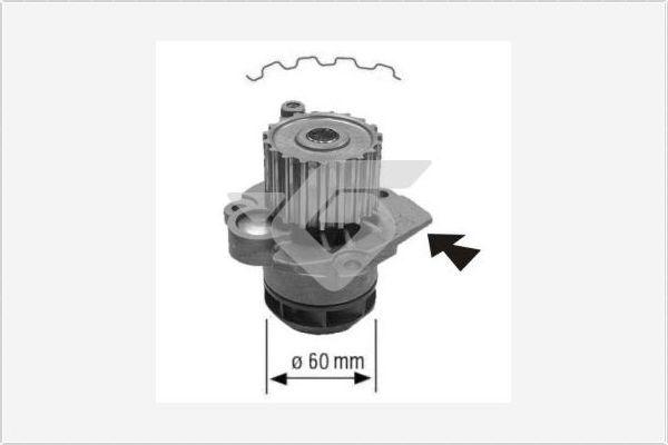 Hutchinson WP58 - Pompe à eau cwaw.fr