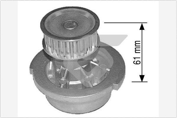 Hutchinson WP19 - Pompe à eau cwaw.fr