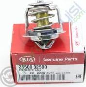 Hyundai 25500-02500 - Thermostat d'eau cwaw.fr