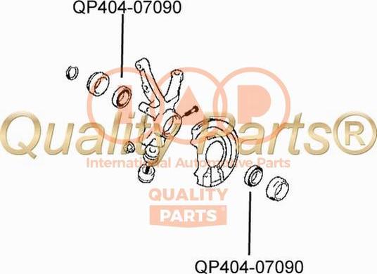 IAP QUALITY PARTS 404-07090 - Bague d'étanchéité, moyeu de roue cwaw.fr