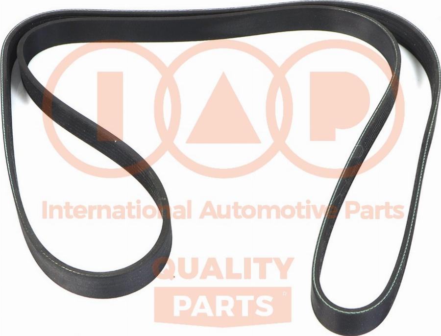 IAP QUALITY PARTS 140-51031 - Courroie trapézoïdale à nervures cwaw.fr