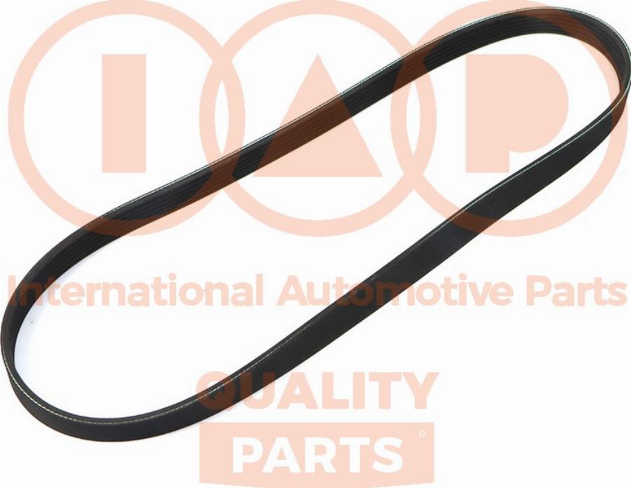 IAP QUALITY PARTS 140-08032 - Courroie trapézoïdale à nervures cwaw.fr