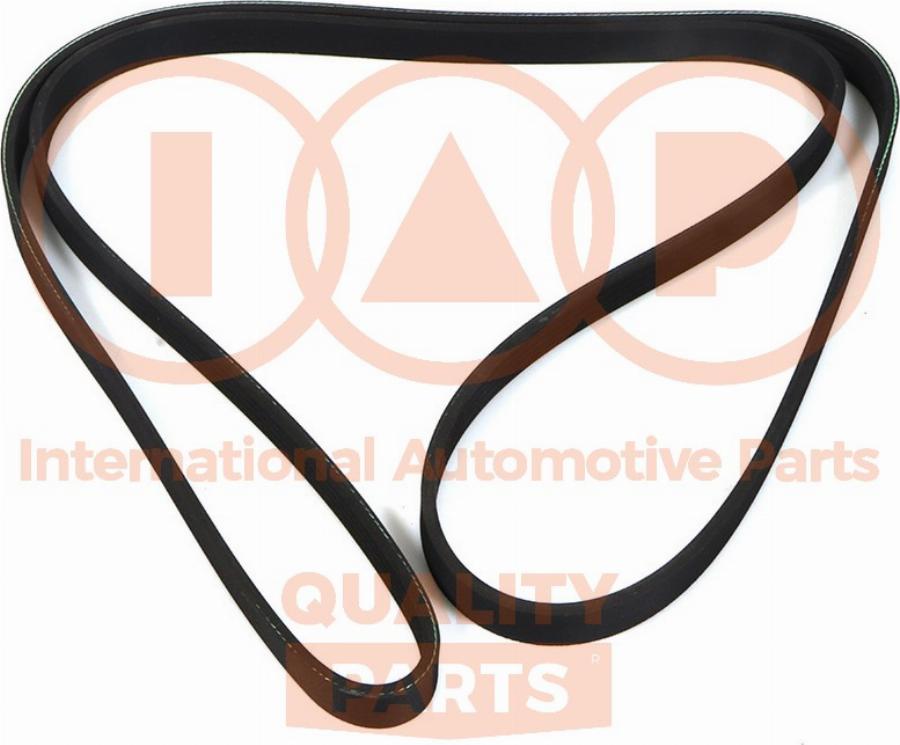 IAP QUALITY PARTS 140-29061 - Courroie trapézoïdale à nervures cwaw.fr