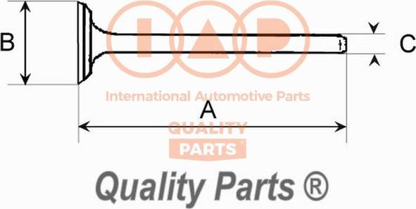 IAP QUALITY PARTS 110-21076 - Soupape d'admission cwaw.fr