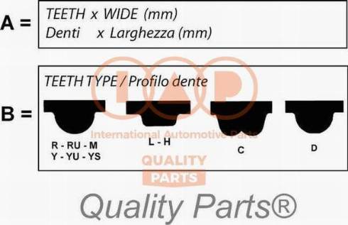 IAP QUALITY PARTS 128-11011 - Courroie de distribution cwaw.fr