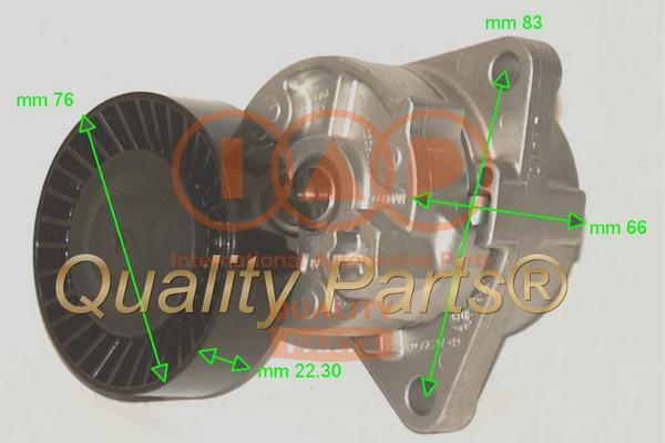 IAP QUALITY PARTS 12721154G - Poulie renvoi / transmission, courroie trapézoïdale à nervures cwaw.fr