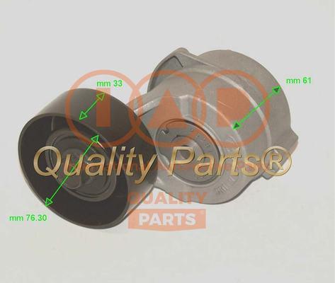 IAP QUALITY PARTS 12721183 - Poulie renvoi / transmission, courroie trapézoïdale à nervures cwaw.fr