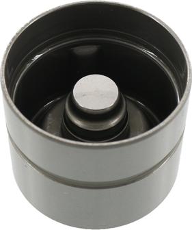 INA 420 0118 10 - Poussoir de soupape cwaw.fr