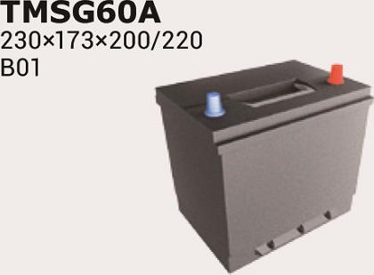 IPSA TMSG65A - Batterie de démarrage cwaw.fr