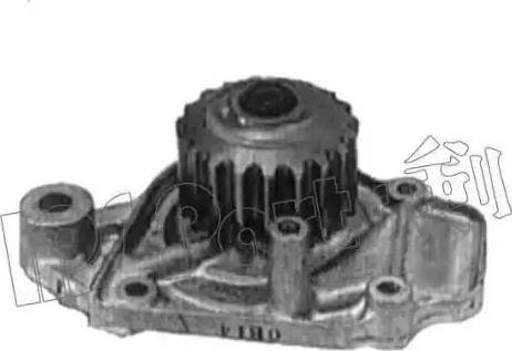 IPS Parts IPW-7419 - Pompe à eau cwaw.fr