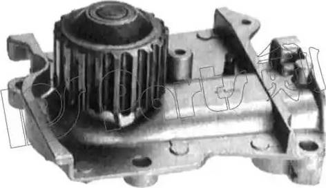 IPS Parts IPW-7309 - Pompe à eau cwaw.fr