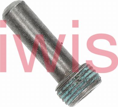 iwis Motorsysteme 60815 - Boulon de coulisse, chaîne de distribution cwaw.fr