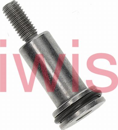 iwis Motorsysteme 60248 - Boulon de coulisse, chaîne de distribution cwaw.fr