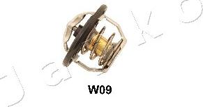 Japko 38W09 - Thermostat d'eau cwaw.fr