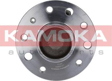 Kamoka 5500078 - Kit de roulements de roue cwaw.fr