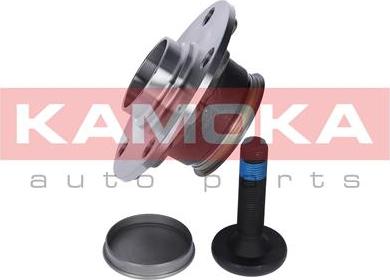 Kamoka 5500119 - Kit de roulements de roue cwaw.fr