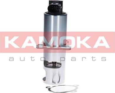 Kamoka 19010 - Vanne EGR cwaw.fr