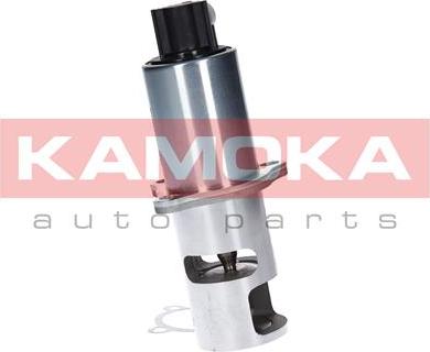 Kamoka 19010 - Vanne EGR cwaw.fr