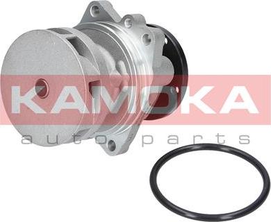 Kamoka T0059 - Pompe à eau cwaw.fr