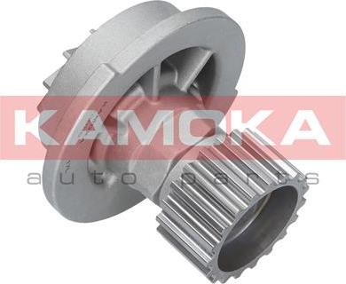 Kamoka T0066 - Pompe à eau cwaw.fr