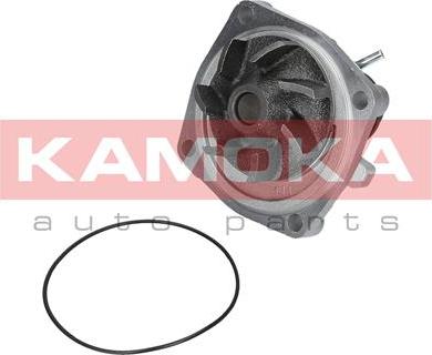 Kamoka T0006 - Pompe à eau cwaw.fr