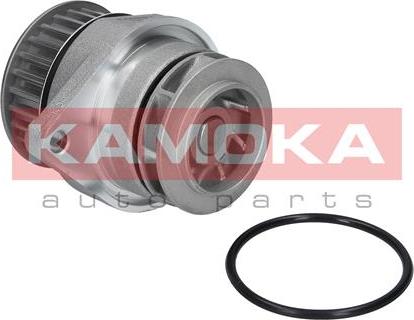 Kamoka T0026 - Pompe à eau cwaw.fr