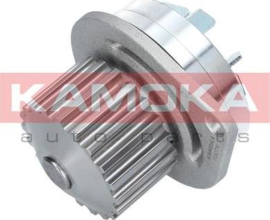 Kamoka T0079 - Pompe à eau cwaw.fr