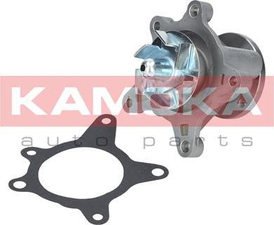 Kamoka T0163 - Pompe à eau cwaw.fr