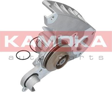 Kamoka T0119 - Pompe à eau cwaw.fr