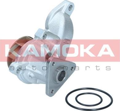 Kamoka T0315 - Pompe à eau cwaw.fr