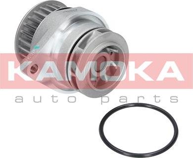 Kamoka T0249 - Pompe à eau cwaw.fr