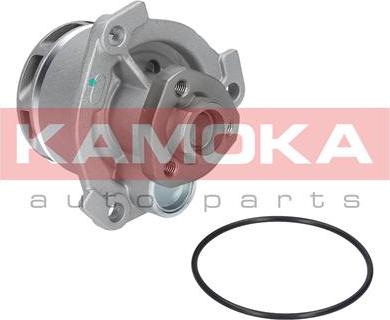 Kamoka T0234 - Pompe à eau cwaw.fr