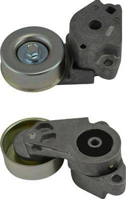 Kavo Parts DTP-5503 - Poulie renvoi / transmission, courroie trapézoïdale à nervures cwaw.fr