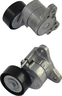 Kavo Parts DTP-5514 - Poulie renvoi / transmission, courroie trapézoïdale à nervures cwaw.fr