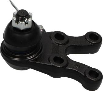 Kavo Parts SBJ-5524 - Rotule de suspension cwaw.fr