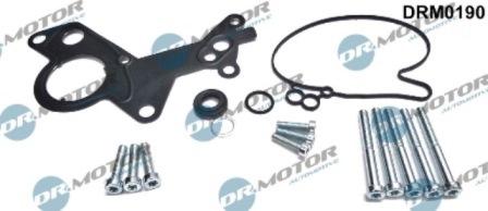 Lizarte DRM0190 - Kit de réparation, pompe à vide (freinage) cwaw.fr