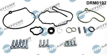 Lizarte DRM0192 - Kit de réparation, pompe à vide (freinage) cwaw.fr