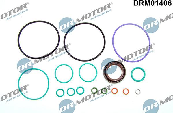 Lizarte DRM01406 - Kit d'assemblage, pompe à carburant cwaw.fr